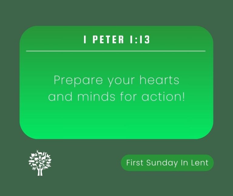 Prepare for Action: Caring for God’s Creation – Green Anglicans